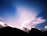 网络手机号在线发送